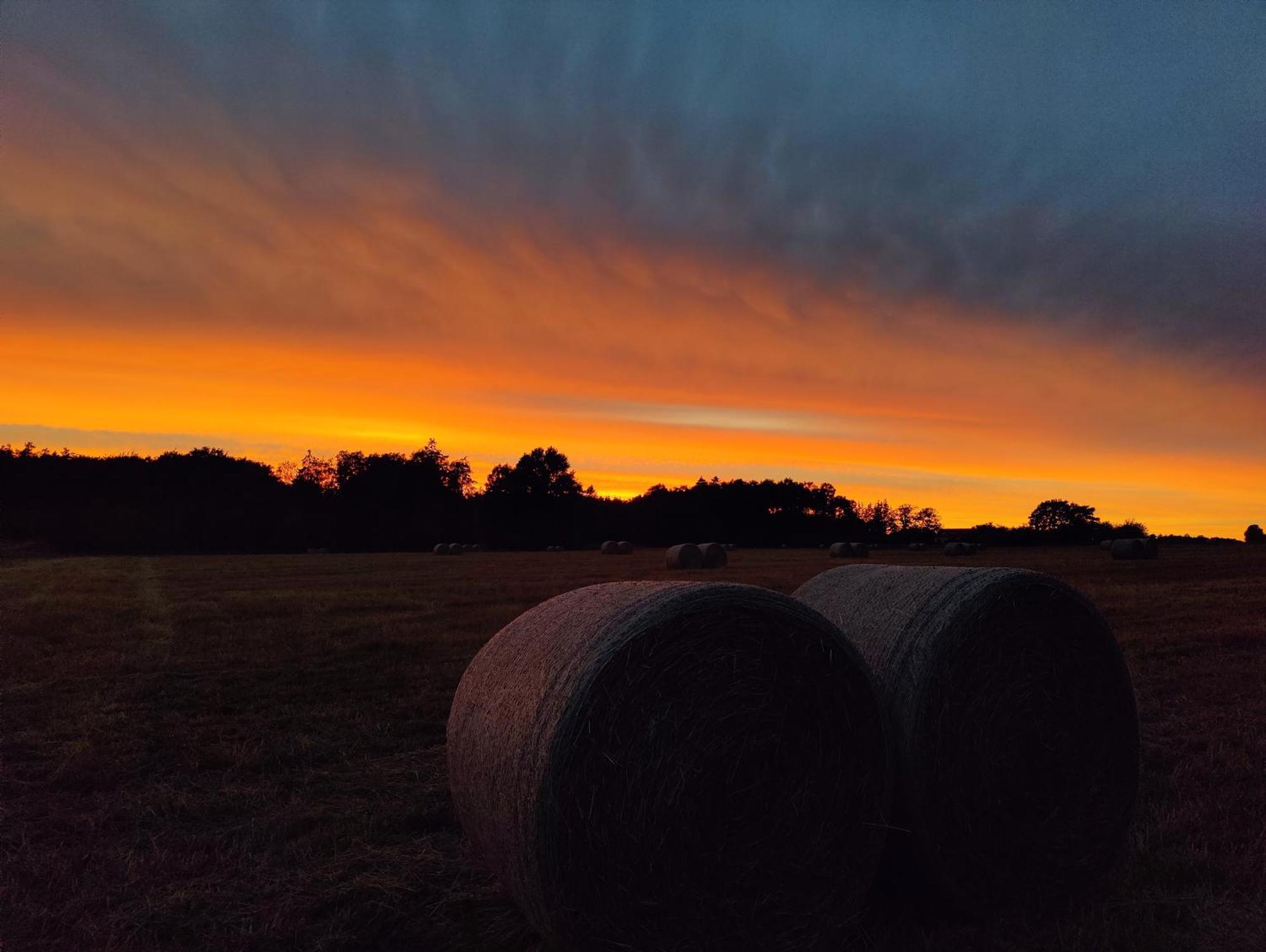 Under Canvas Bornholm Ostermarie Bagian luar foto